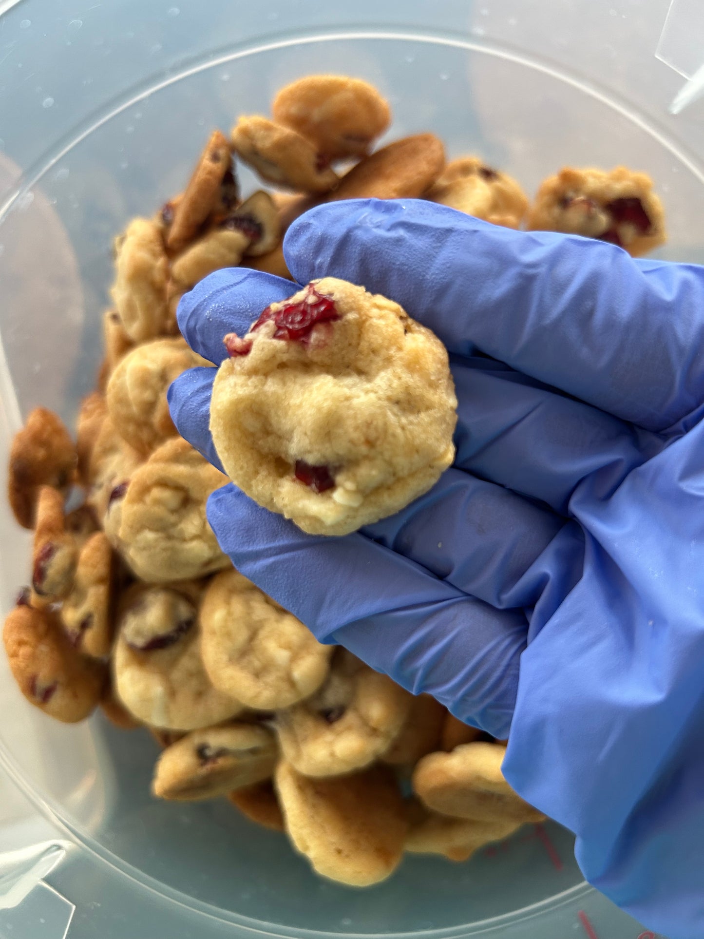 CRUNCHY COOKIES 160g